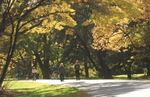 Arnold Arboretum (plantentuin) | Boston